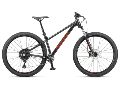 Switchback 3 - 29in product image