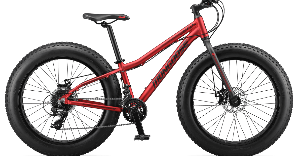 Mon Fat Bike アーガススポーツ２４インチ　160〜 Argus Fat Tire Bikes | Conquer Sand, Snow & More – Tagged 