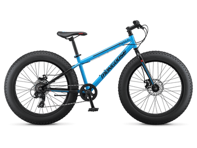 Argus ST 24in product image
