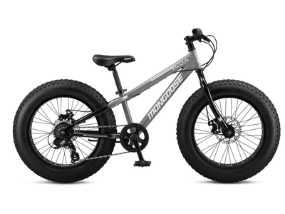 Argus ST 20in product image