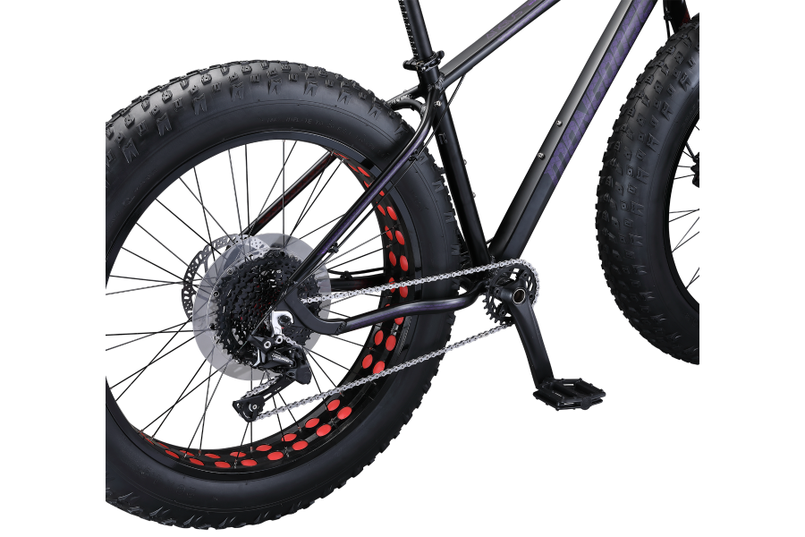 Mongoose top argus 2019