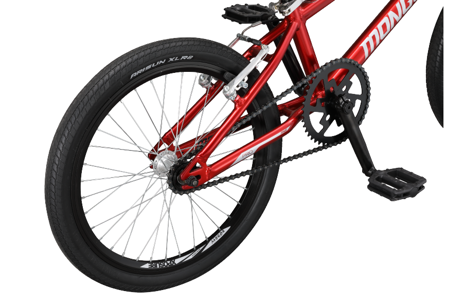 Mongoose bike sale pro