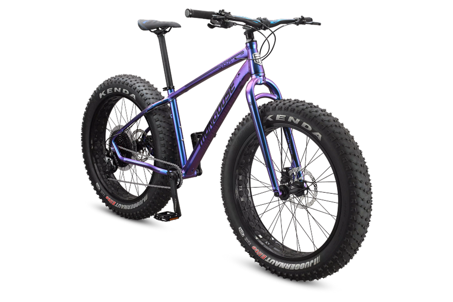 Argus Comp 26