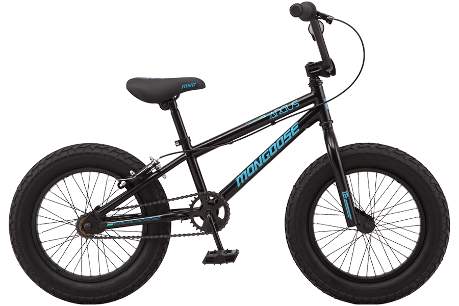 Argus MX 16