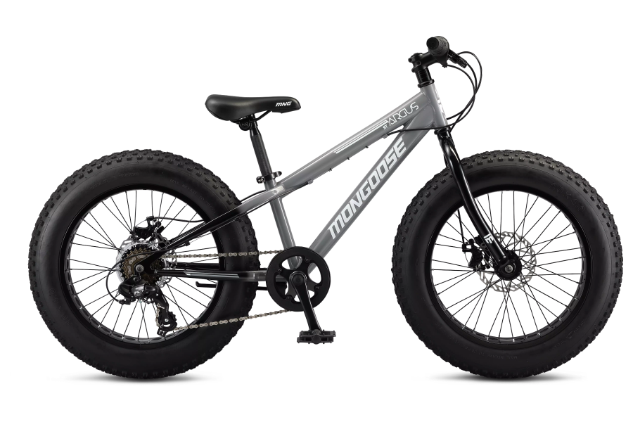 Mongoose 20 inch fat tire store bike
