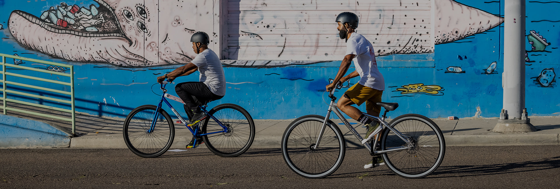Bmx big bikes sale