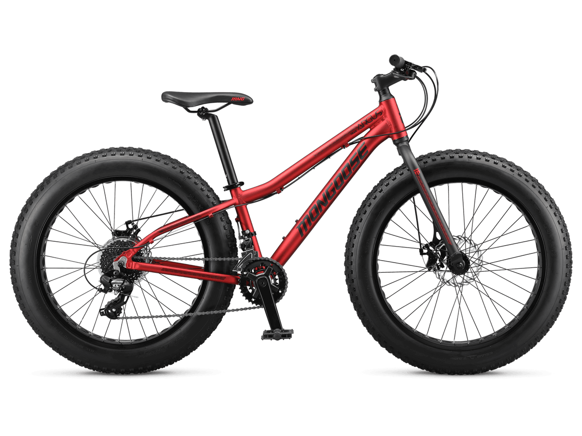 Argus Trail Kid s Hardtail Fat Tire Bike Mongoose