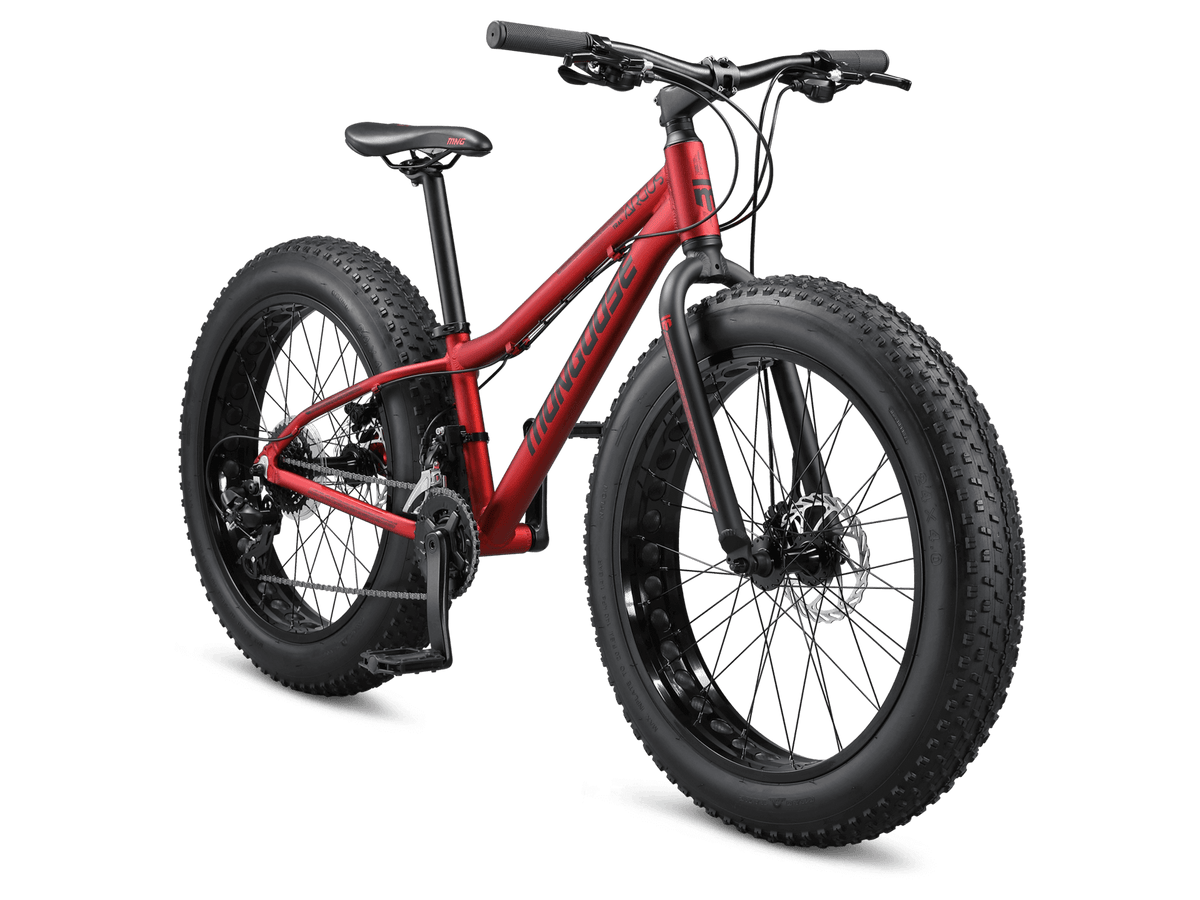 Mongoose bike tires and rims shop
