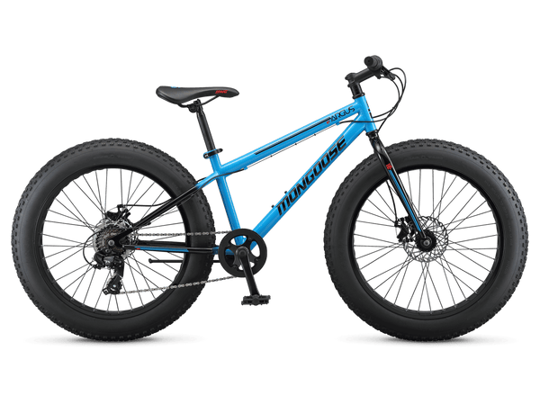 Argus ST | Adult Hardtail Fat Tire Bike | 24
