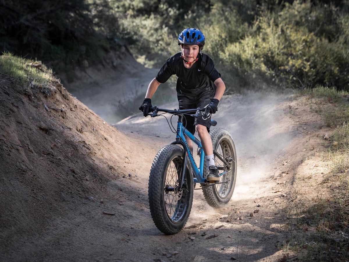 Argus ST Adult Hardtail Fat Tire Bike 24