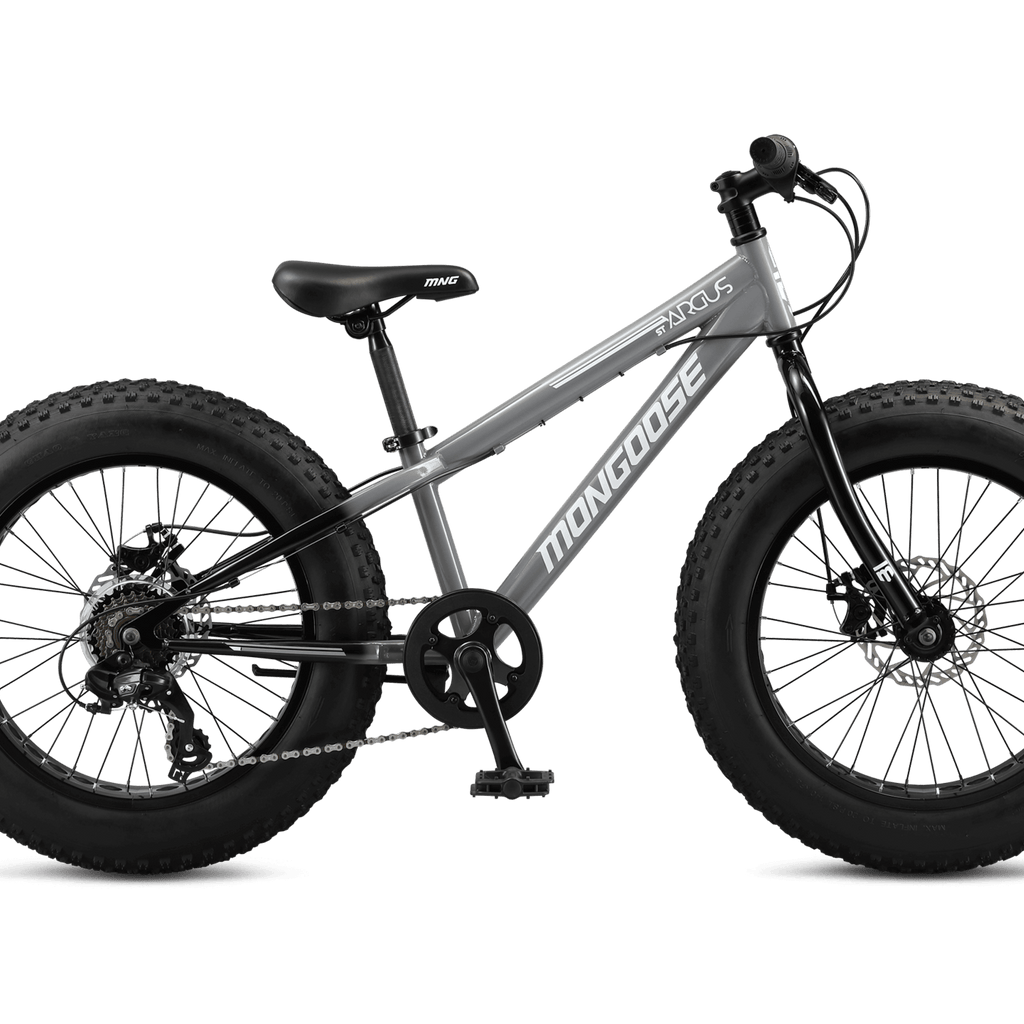 Argus ST Adult Hardtail Fat Tire Bike 20 Wheels Mongoose