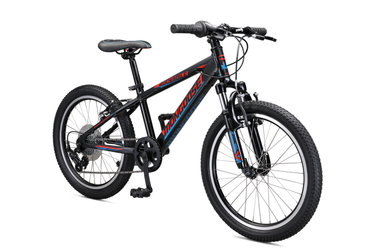 Radius bike 20 2024 inch