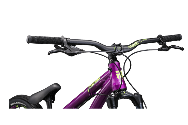 Mongoose fireball jump bike top
