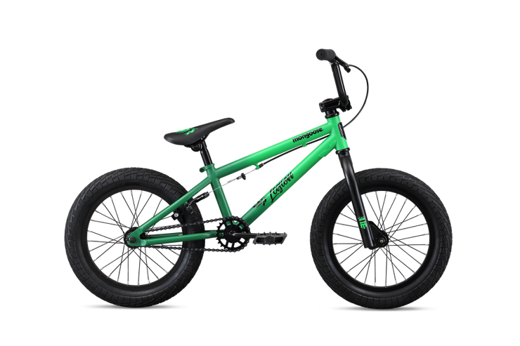Mongoose on sale bmx blue