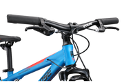 Switchback 20