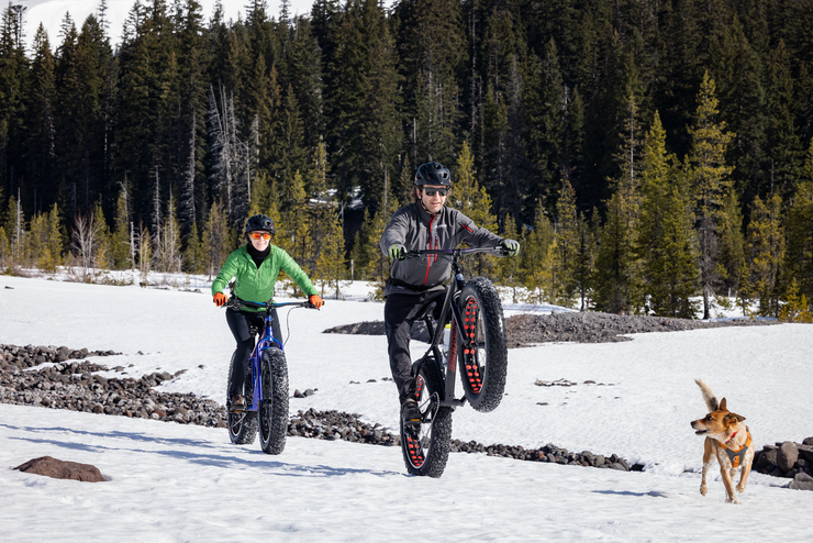 Mongoose argus fat tire top bike