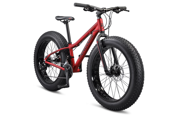 24 inch mongoose fat shop tire bike