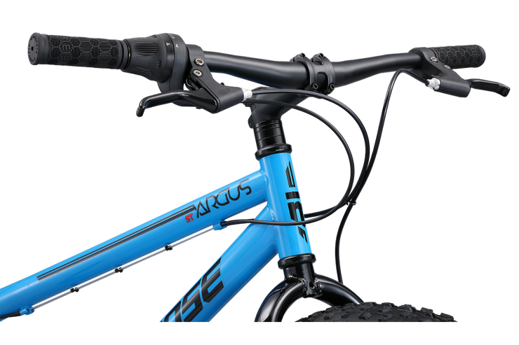 Mongoose 24 inch fat tire deals bike