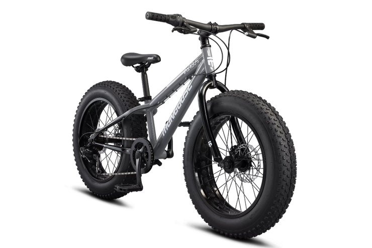 20 inch top fat tire bicycle