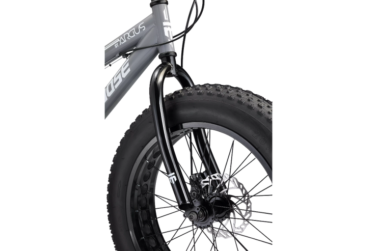 Argus ST Adult Hardtail Fat Tire Bike 20