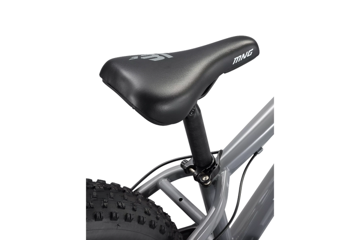 Mongoose bike 2024 seat with post